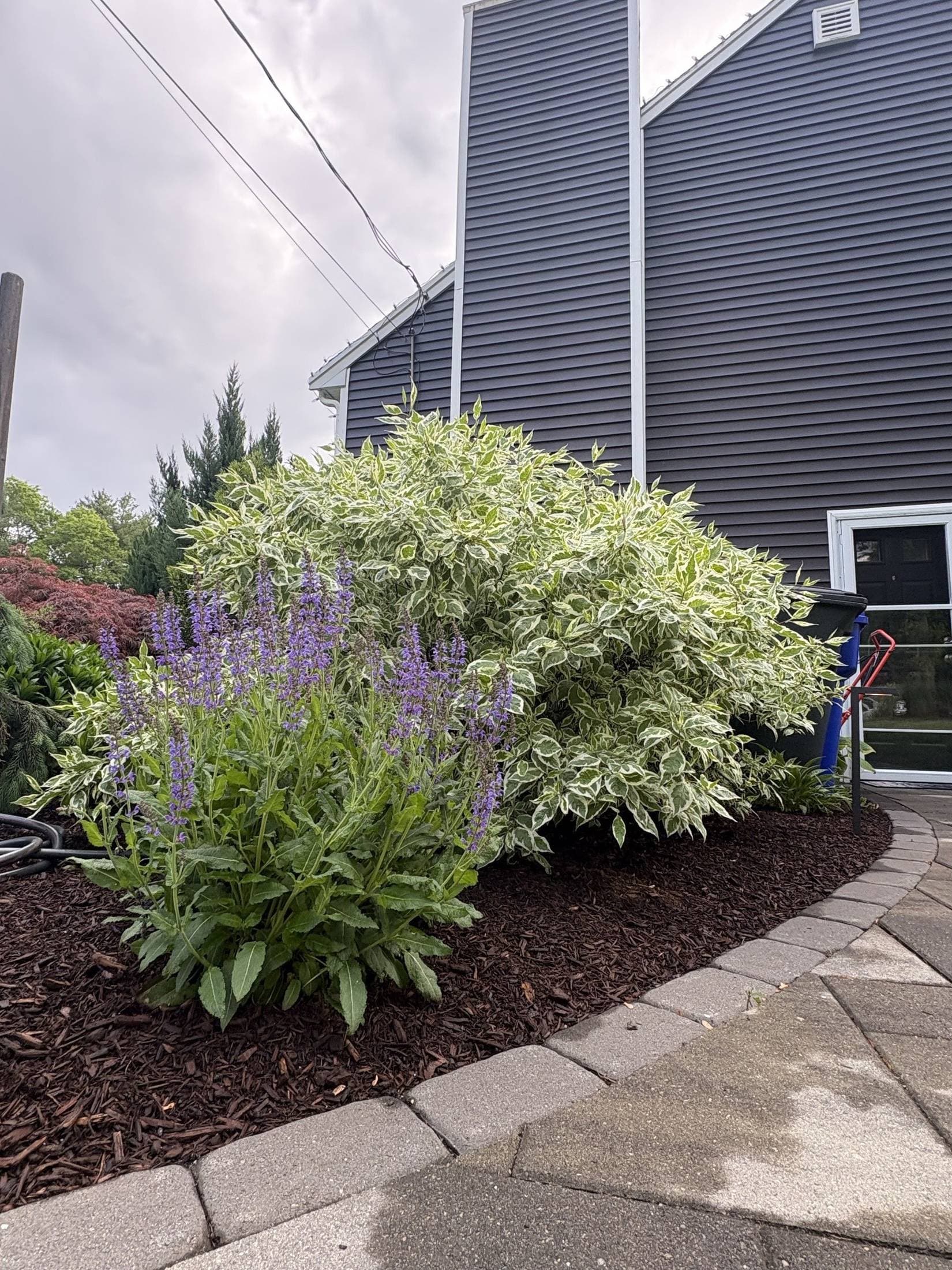 Read Residence — view 4