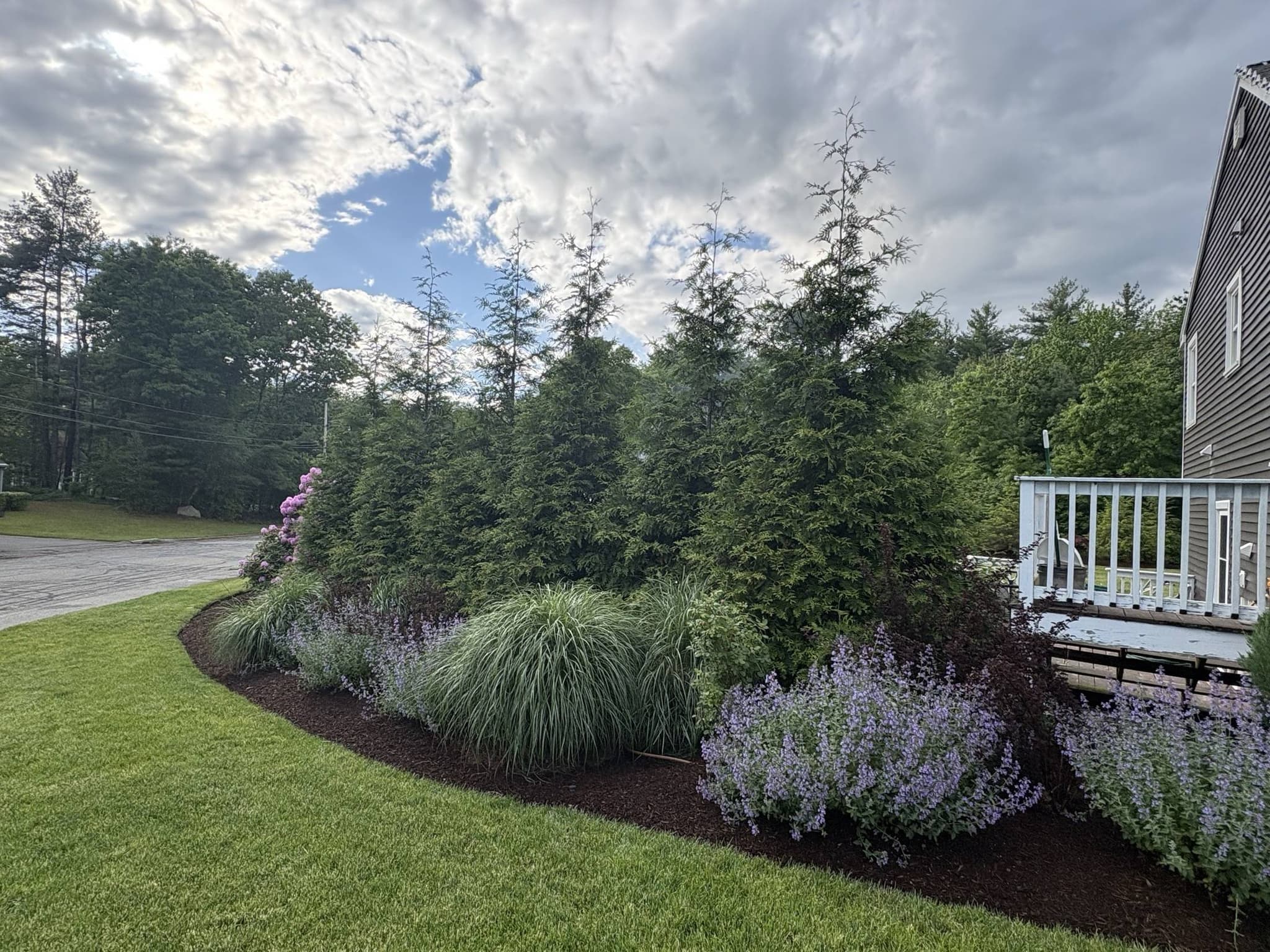 Read Residence — view 5