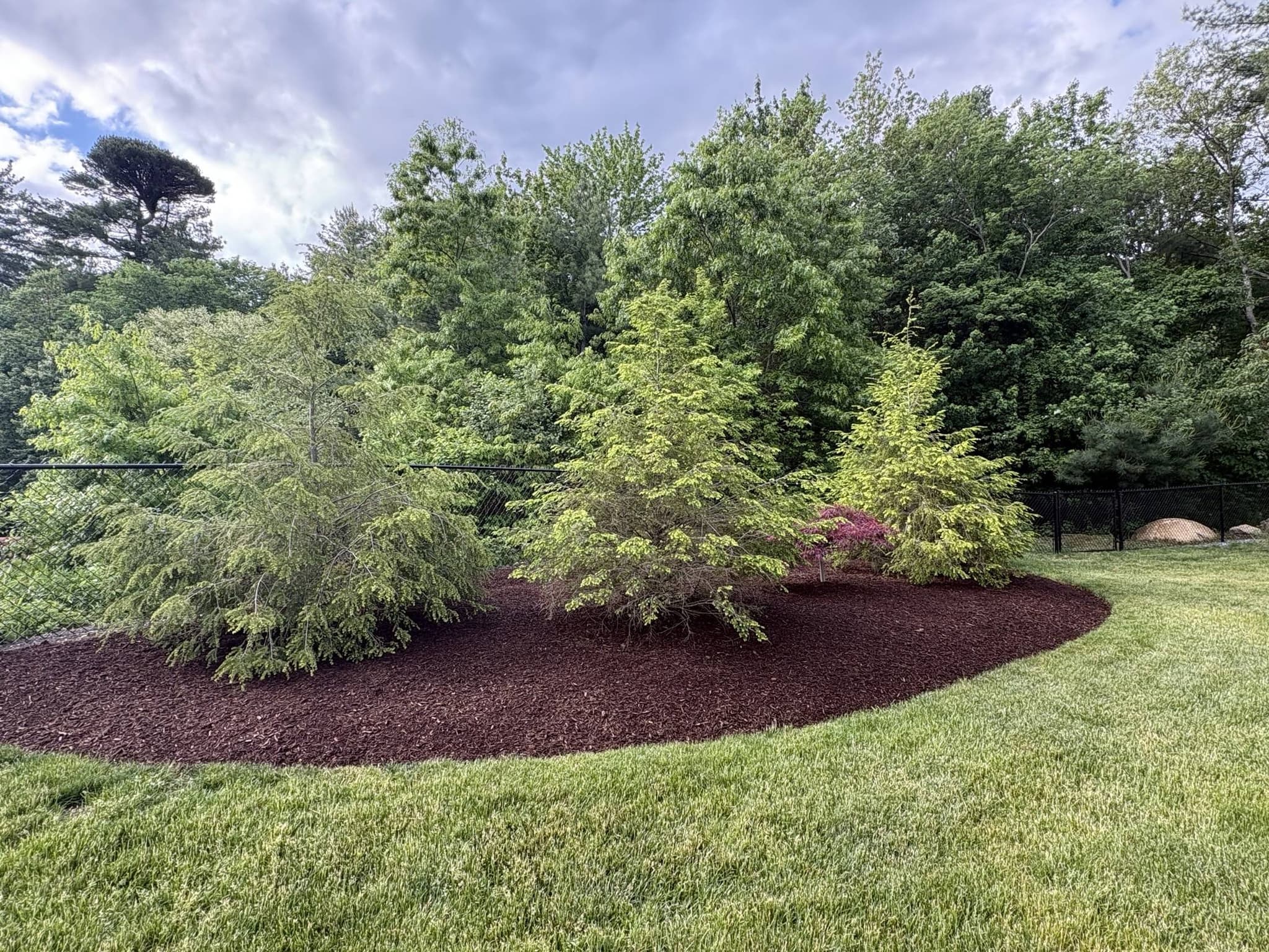Seasonal Transitions: Spring and fall property programs that protect plantings and clear liability.